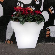 Il Vaso luminos 55